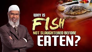 Why is Fish not Slaughtered before Eaten? - Dr Zakir Naik