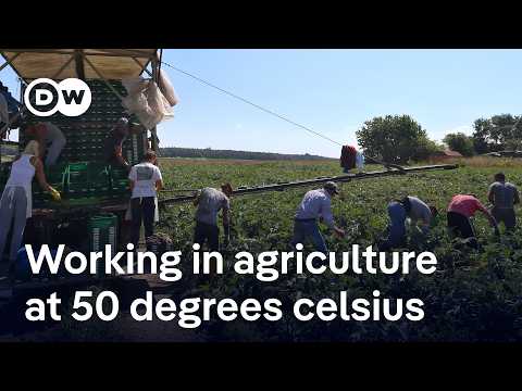 YouTube video thumbnail: How Extreme Heat Affects the Health and Productivity of Workers