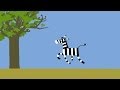 Video Tutorial Quiz