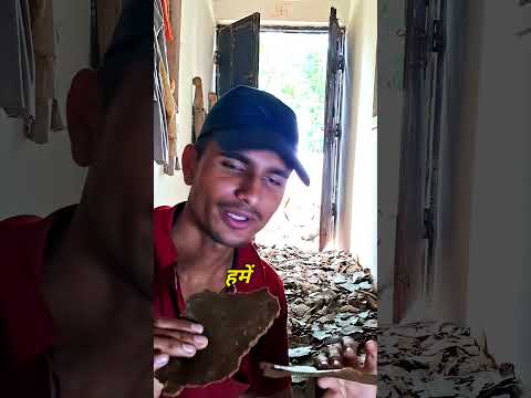 सरसों का तेल और उसकी खरी #oil #सरसों