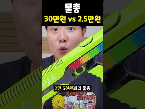 30만원 물총 vs 2.5만원 물총 차이는?