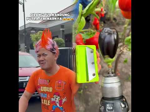 AKHIRNYA TERUNGKAP ORANG TUA KANDUNG PUTRA SEBENARNYA #funny #foryou #humor #viralvideo #fypシ°viral