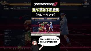 【鉄拳8】見て覚える用語集【カレーパンチ】