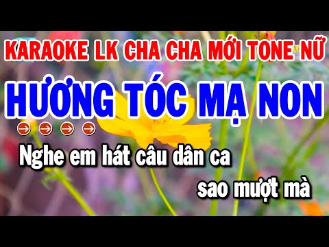 Karaoke Liên Khúc Nhạc Sống Tone Nữ Cha Cha 2025 | Hương Tóc Mạ Non – Tình Nhỏ Mau Quên