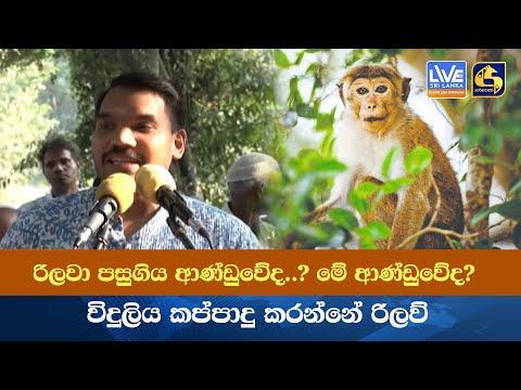 රිලවා පසුගිය ආණ්ඩුවේද? - මේ ආණ්ඩුවේද?  විදුලිය කප්පාදු කරන්නේ රිලව්