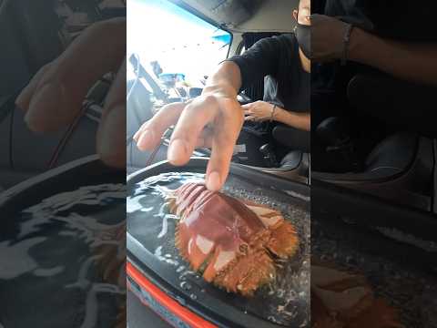 【Truck Cooking】Frat shrimp in Rahmen!【asmr】#shorts