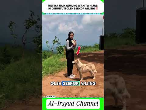 Aduhhh ๐ฑ๐ฑ๐ฑ momen tak terduga ketika naik atas gunung ๐ซฃ๐ซฃ๐ซฃ#trending #shorts