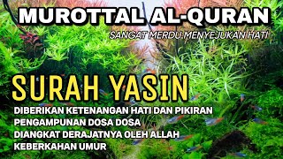 Bacaan Merdu Surah Yasin | Suara Menyejukkan Hati dan Menenangkan Jiwa