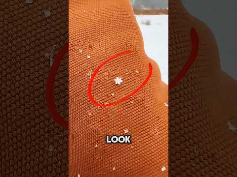 Die seltensten Schneeflocken