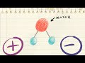 Hydrophilic and Hydrophobic Molecules