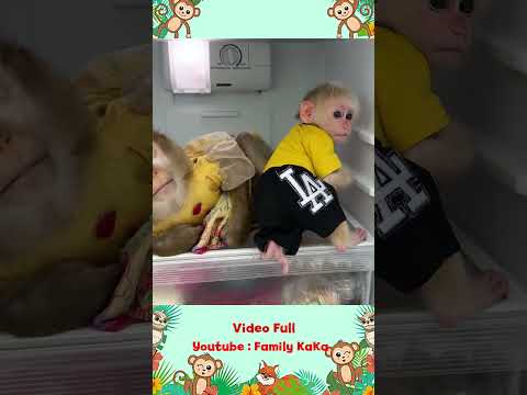 Smart solution to avoid summer heat from Monkey Hair Red and Monkey Mit