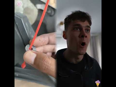 ❌Оставил кота на брата. Вернулся, а кота нет… #story #pov