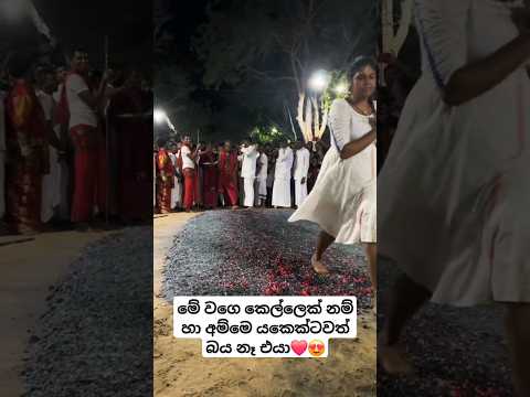 ගින්දරී 🔥 ගානක්වත් නැතිව ගියානේ 😍 #new #trending #viralvideo #shorts