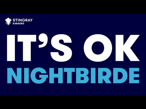 Nightbirde – It’s OK (Karaoke with Lyrics)