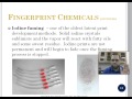 Fingerprint Analysis and Identification