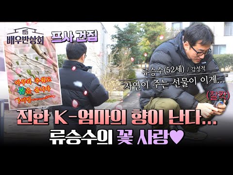 한창 꽃 사진 찍을 나이(?)인 류승수 ㅋㅋ 우리 부모님이 보인다...★ | 배우반상회 9회 | JTBC 240330 방송