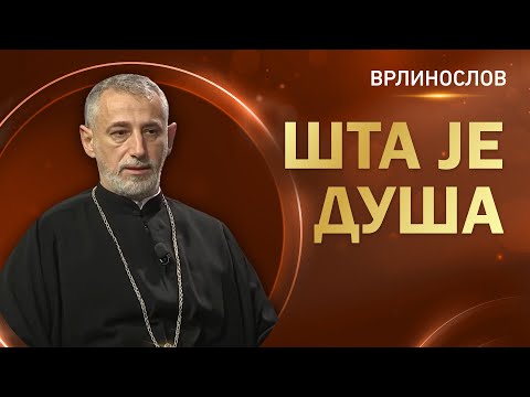 Врлинослов - Шта је душа, протојереј-ставрофор проф. др Владимир Ступар