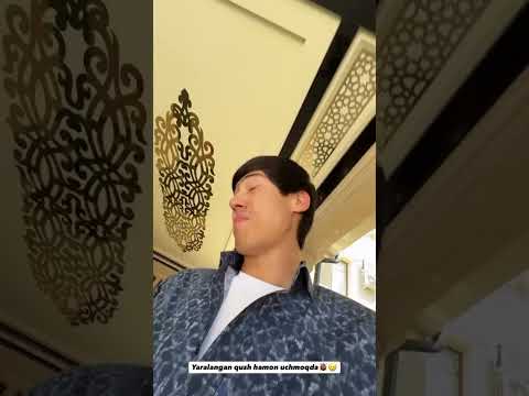 Dilime Yaralangan qush hamon uchmoqda🐞🥲