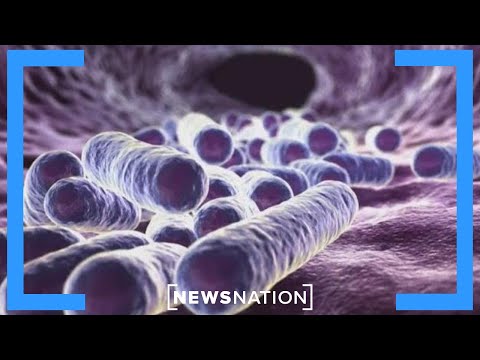YouTube video thumbnail:  2 Dead in Louisiana Dead From Flesh-Eating Bacteria
