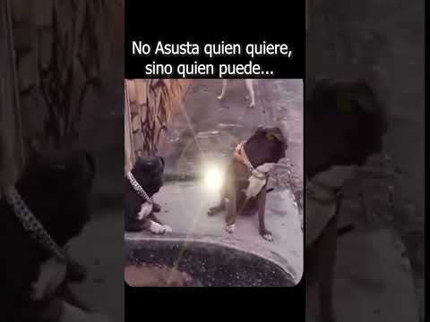 No malgastes tus energías con quien no las merece...😎