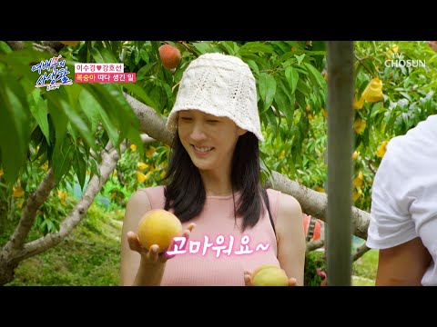 점점 더 가까워지는❤ 두 사람의 알콩달콩 복숭아 농장 데이트🍑 TV CHOSUN 240917 방송 | [공개연애-여배우의 사생활] 5회 | TV조선