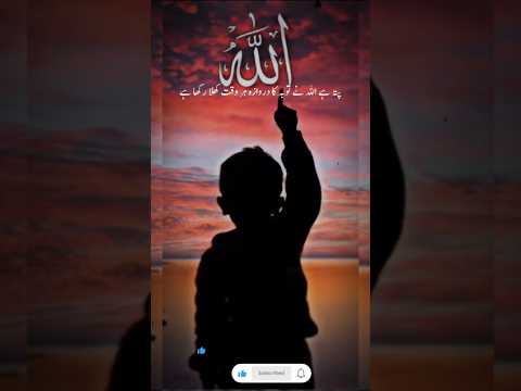 #tuba#allahkiqudrat #viralvideo #beautifulquran #viralshort