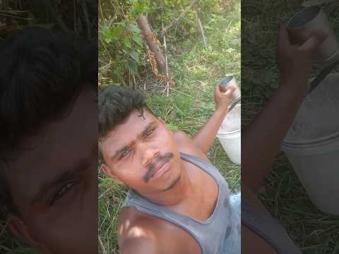 #bollywood #love #hindisong #song #bollywoodsongs #trending #youtubeshorts #ytshorts #shorts #reels
