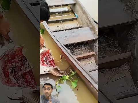 Beginilah trik agar ikan muncul dipermukaan ! 😱 #ikan #funny #reaction #lucu #trik #mancing #cara