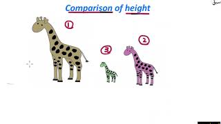 Comparison of height (high/tall)