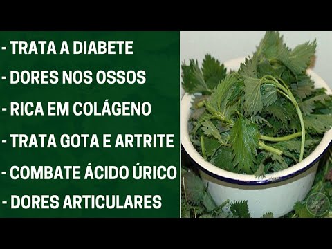 1 Folha Destrói Diabetes, Inflamações, Dor, Artrite, Artrose, lombar, joelho, Inchaço (Sabia disso?)