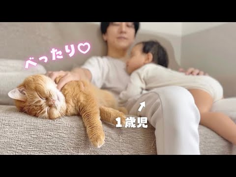 いつも一緒。1歳の弟にべったりで離れない兄猫が、弟から初めておやつをもらって歓喜！