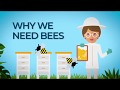 Bee Conservation and Benefits