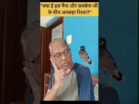 "पक्षी, कलाकार और एक अनोखा जुड़ाव – जानिए इस रिश्ते की कहानी!" #shortsfeed #shorts #ytshorts