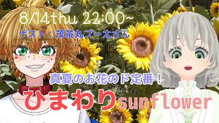 【モカイギ】ひまわりについて語ろう ゲスト：茂茶丸プー太さん ／花白もか【Vtuber】