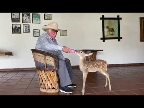 Un saludo a toda mi gente - Vicente Fernández