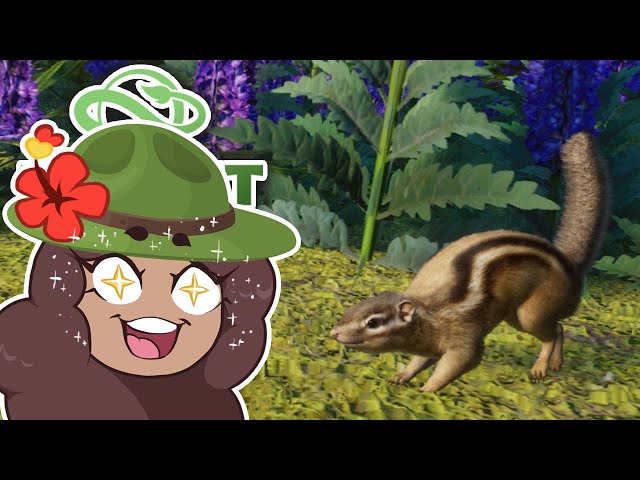 A Gorgeous Garden for Our SCURRY of CHIPMUNKS?!? Planet Zoo: Redwood Park • #3