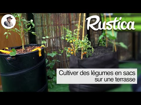 Un mini potager en sacs sur une terrasse