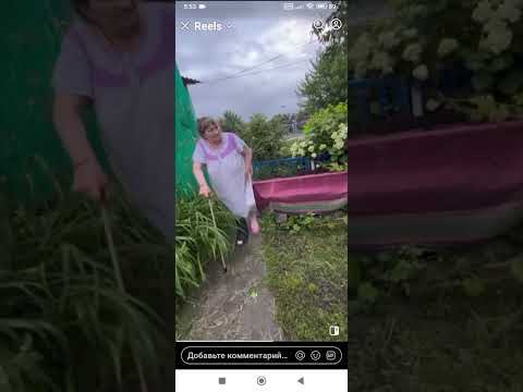 🤣Кипишнула бабуля🤣👍