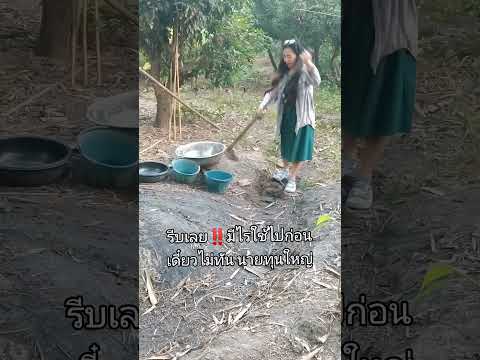 อนุญาตให้ประชาชนขุดลอกคูคลองได้ขุดลอกคูคลองคูคลองfarmlife