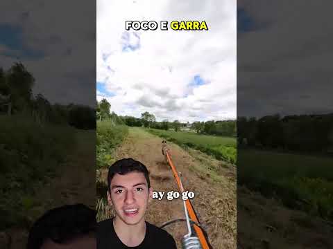 Todo mundo achou que eles tinham perdido… até o cachorro assumir o volante 😂🔥