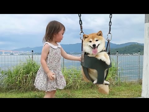 【i +Land nagasaki】豆柴と娘とお泊まり旅行に行ったらいつも以上に可愛いで溢れてた❤️