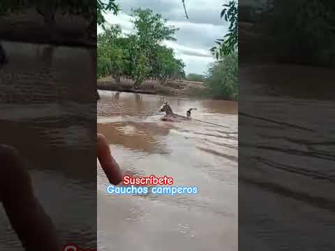 Doma en el rรญo como los indios ๐ด