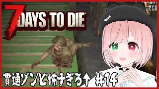 【7 Days to Die】v2.3アプデ来た！鉄集めしたり弾補充🌟クエスト＆探索🔫ゾンビゲー好きのびびりがゆくソロ7dtd🧟43日目～⚠
