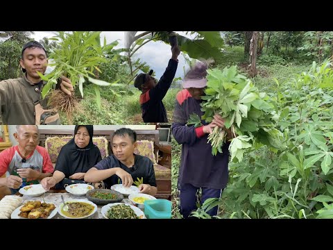 Petik Sayuran Buat Di Masak Hidangan Endolita Plus Ayam Bumbu Hitam Madura