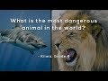 Understanding Dangerous Animals