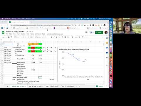 Crawl or No Crawl Mar 23 - Day 38 Google Indexation Detector