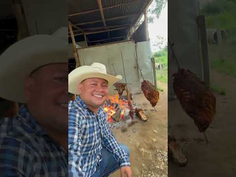 Un tigre se querría comer las vacas