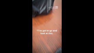 'Absolutely Mental!' Full Double Rainbow