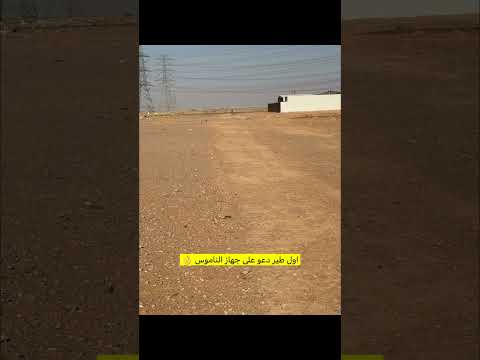 #اكسبلور #مقناص #ملهم #شاهين #المملكة_العربية_السعودية #الصقار