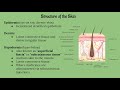 Exploring the Integumentary System: Key Concepts and Functions